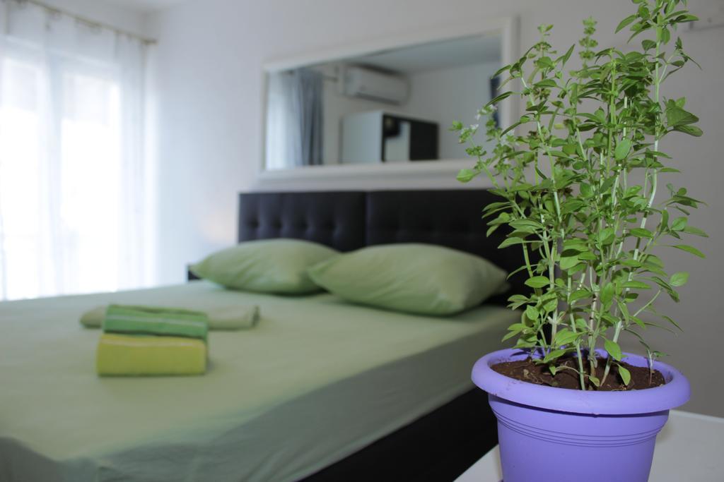 Guest House Put Neum Esterno foto